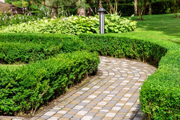 Paved Landscaping in Irvine