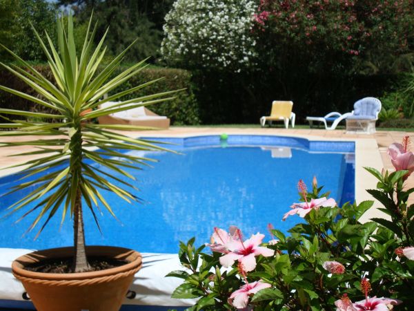 Cost of Pool Terrace Renovation in Irvine